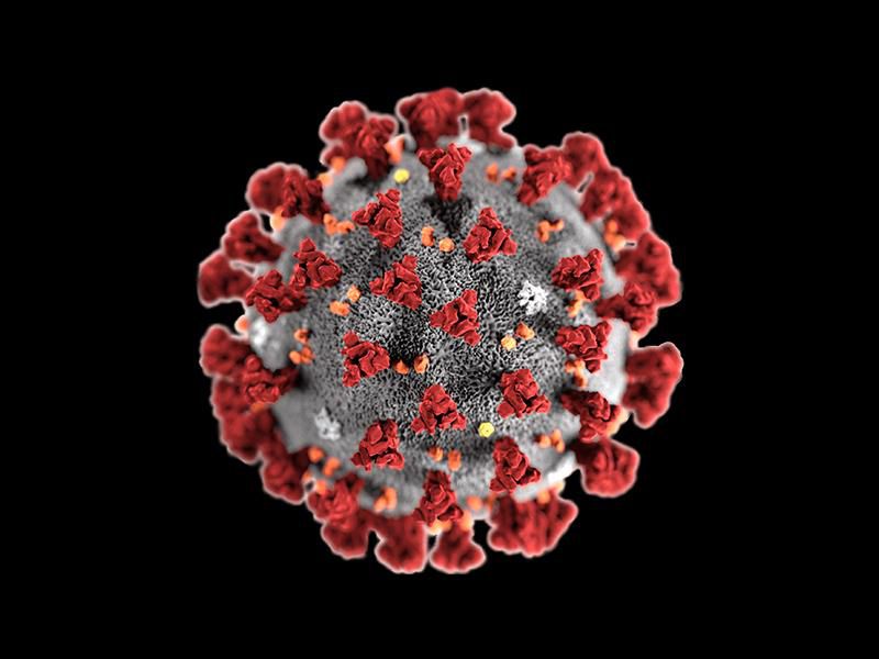 COVID-19 Virus: Click to enlarge